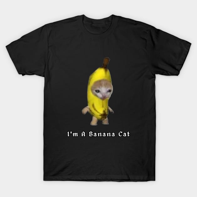 Banana Cat Meme T-Shirt by DeanEve